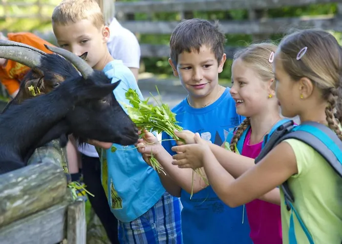 Prokosch Kirchdorf in Tirol
