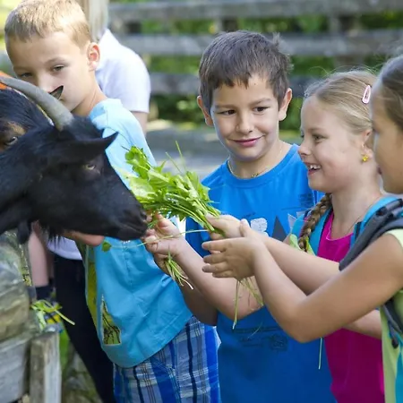 Prokosch Kirchdorf in Tirol